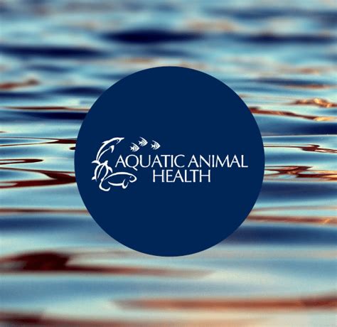 Aquatic Animal Health » College of Veterinary Medicine » .